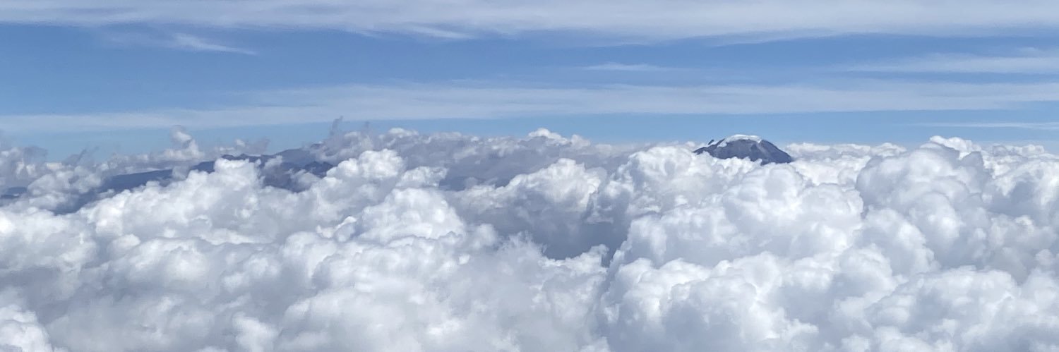 LauraNataliaB's profile banner image