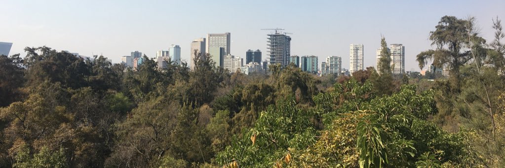 MexicoClima's profile banner image