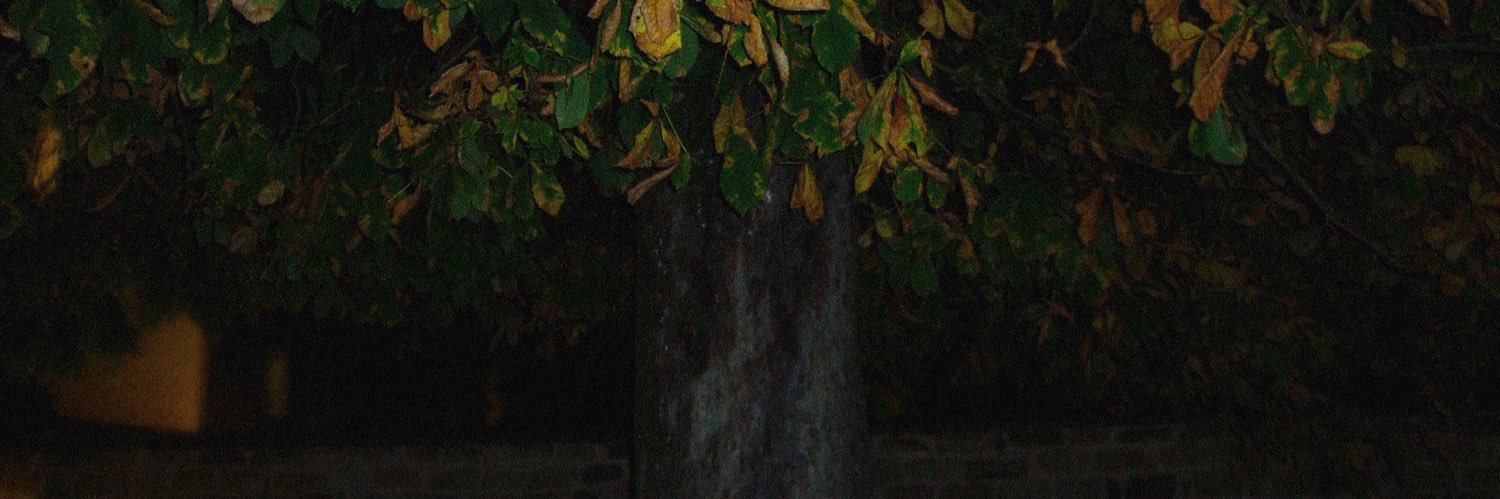 ilimee_'s profile banner image