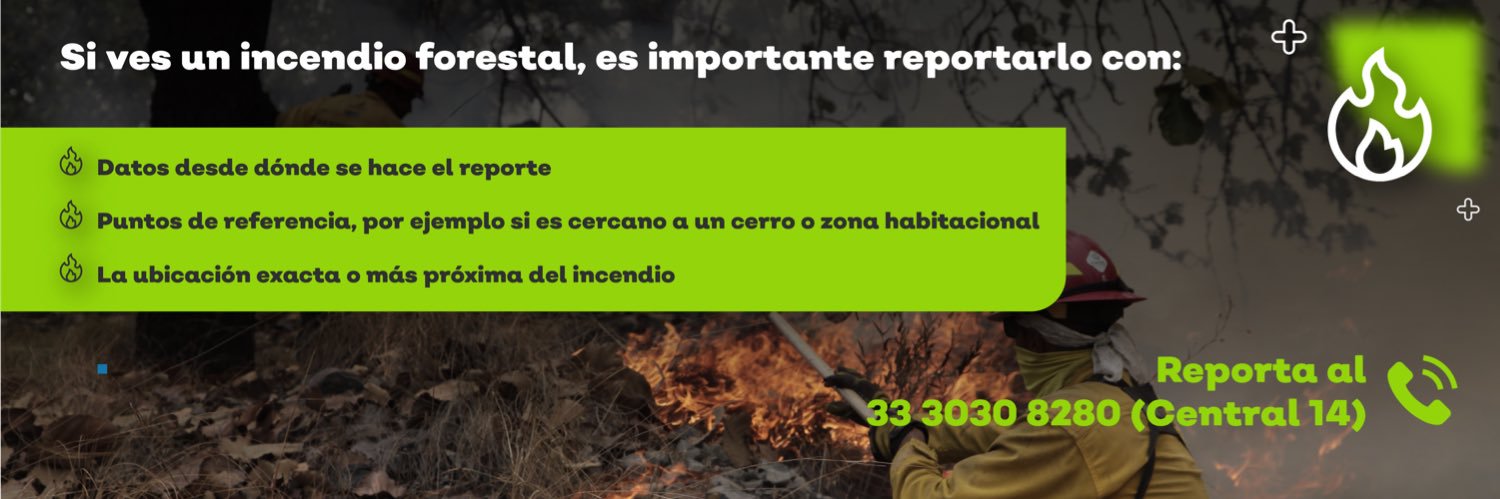 Reporte Forestal Jalisco banner
