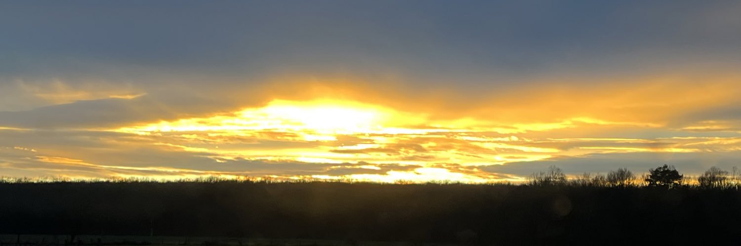 SandyyCH's profile banner image