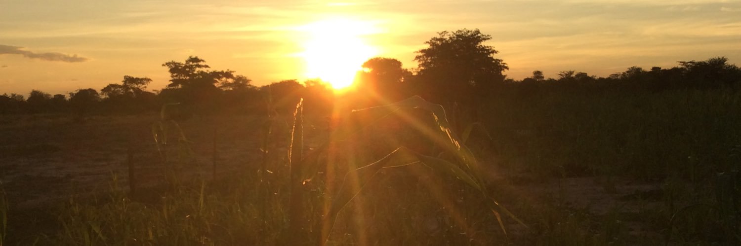 kandapuT's profile banner image