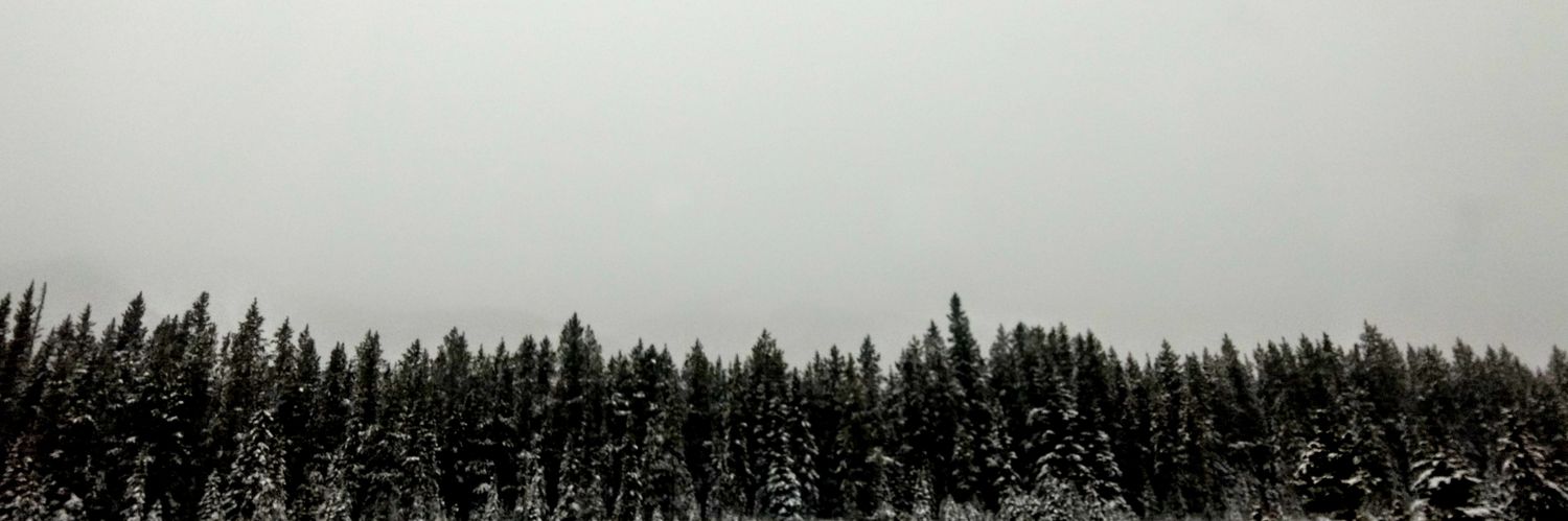 freya_circe's profile banner image