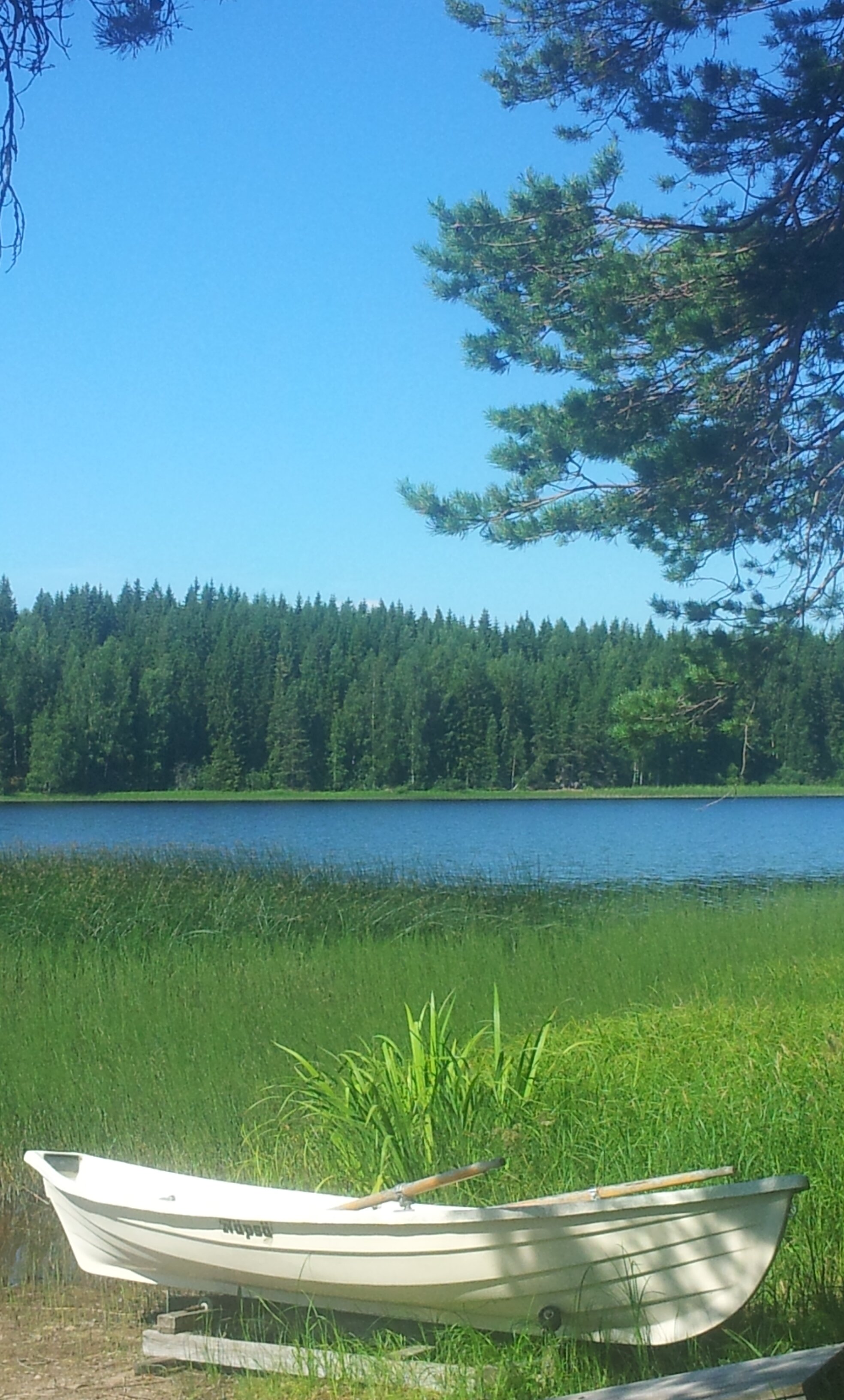 jppeltola's profile banner image