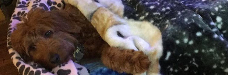 JohnGarvey13's profile banner image