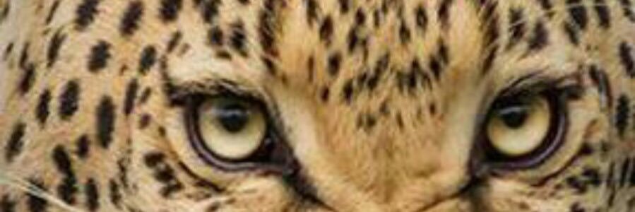 motheeb2007's profile banner image