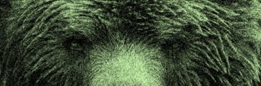 Creekview Grizzly Football banner