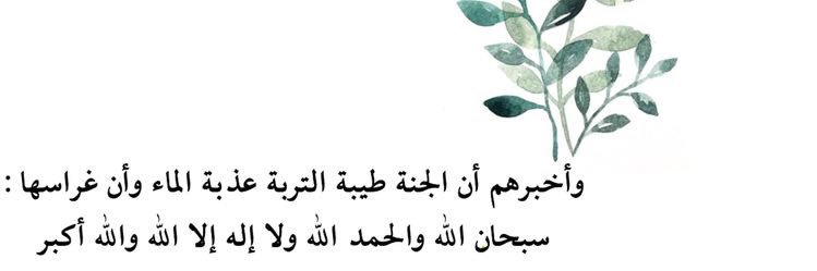 🌿 ميمونة🌿 banner