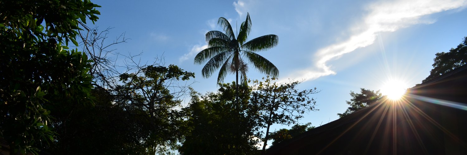 Nelinho15's profile banner image