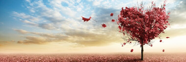 iTiSmyPAiGE's profile banner image