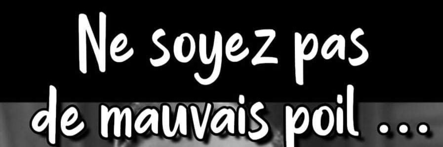 bab_ou's profile banner image