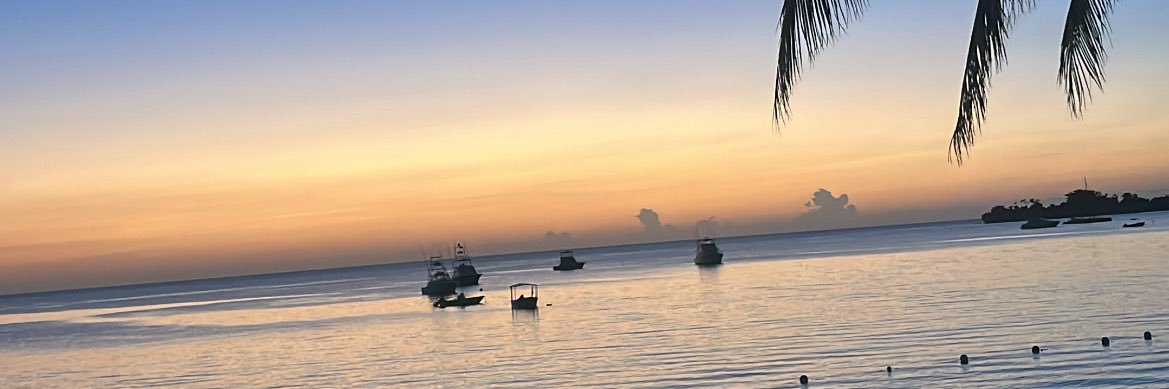 shaksco_'s profile banner image