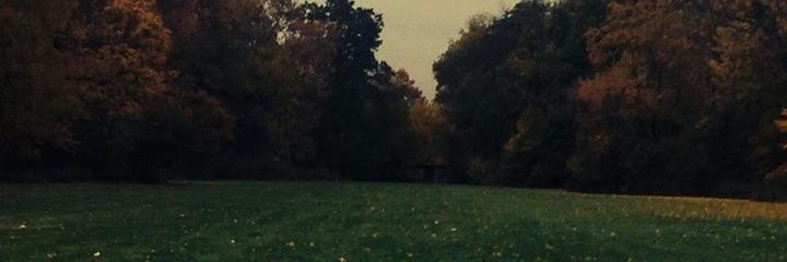 aabouhashim's profile banner image