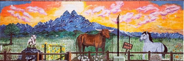 TownOfMead Profile Banner