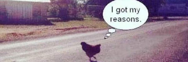 Pinksockmonkey2 Profile Banner