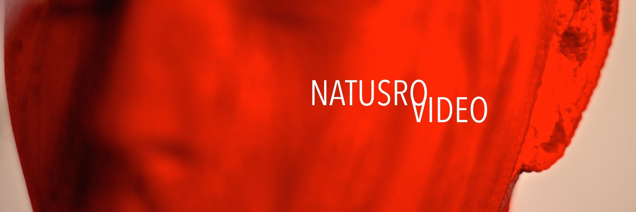 natusrovideo's profile banner image
