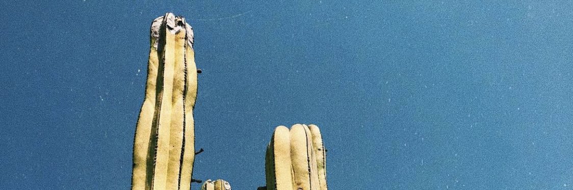 ilspressobean's profile banner image