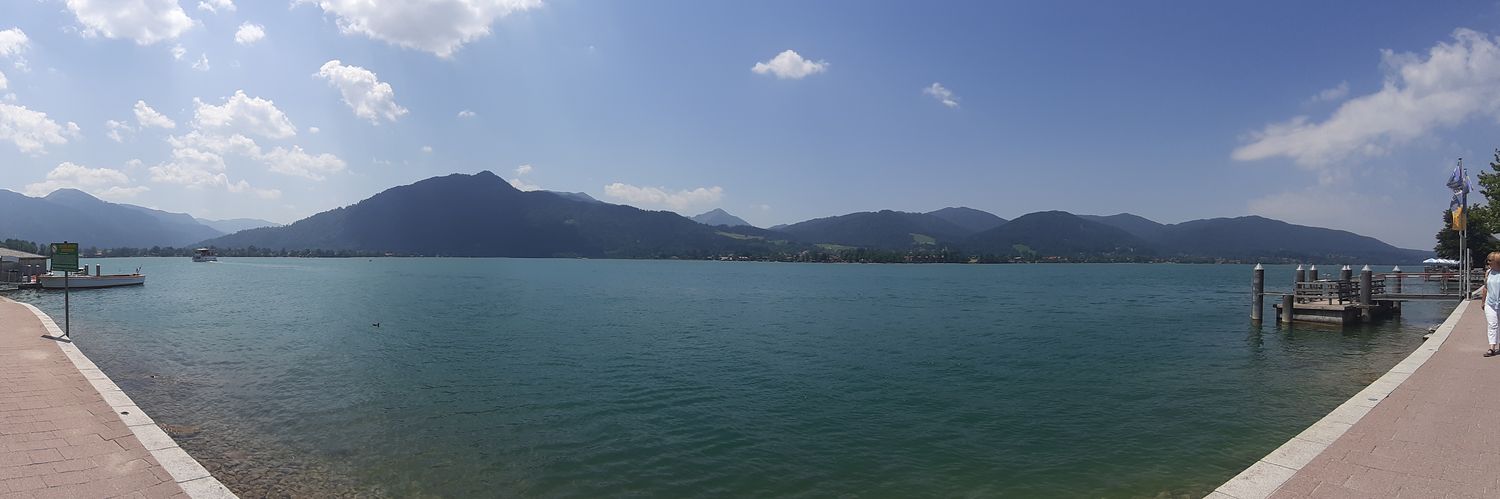 Trentobay's profile banner image