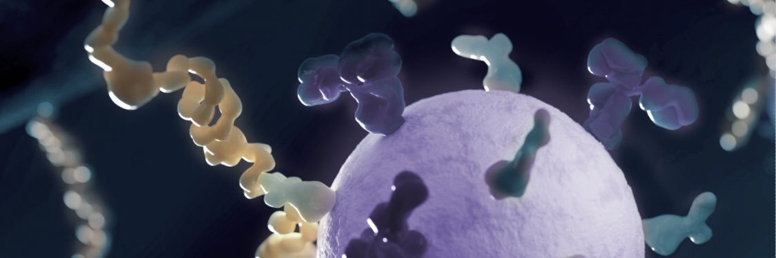 Betty Y.S. Kim, MD, PhD, FRCSC, FAIMBE's banner
