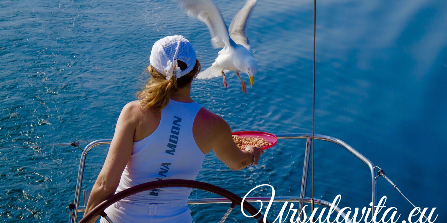 ursulavita's profile banner image