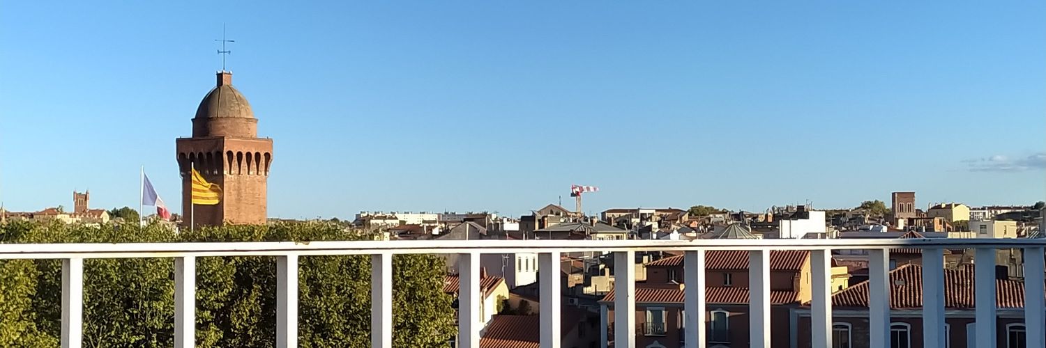 πax™🇫🇷 banner