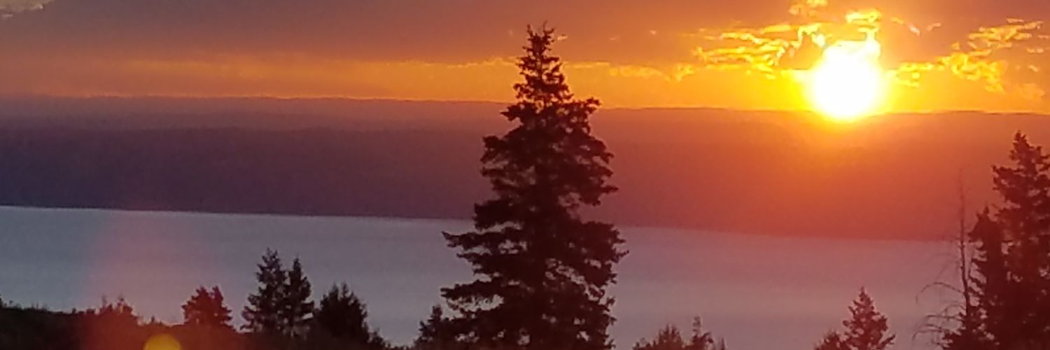ajvuk's profile banner image