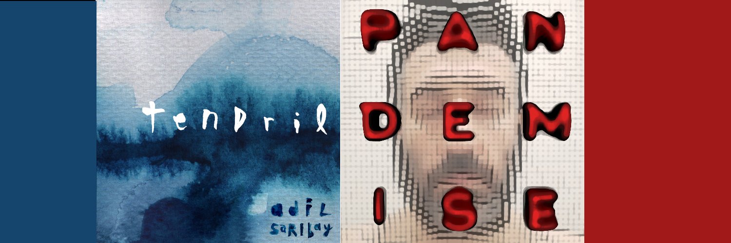 Adil Saribay banner
