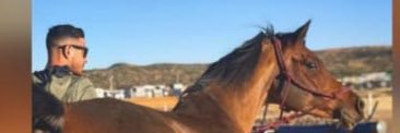 TillyAhmed's profile banner image