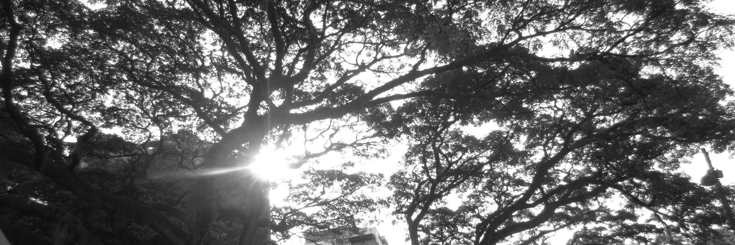 chocorochelle's profile banner image