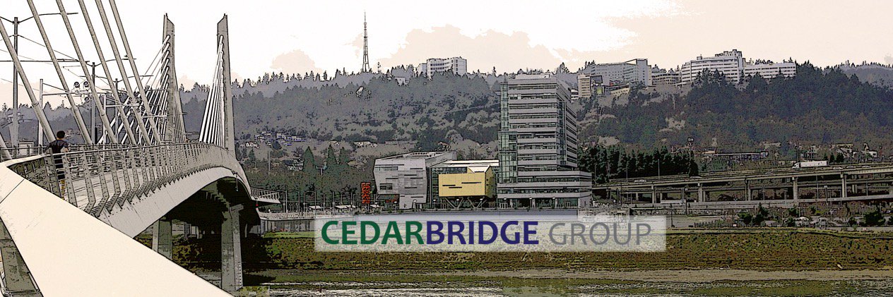 CedarBridge Group banner
