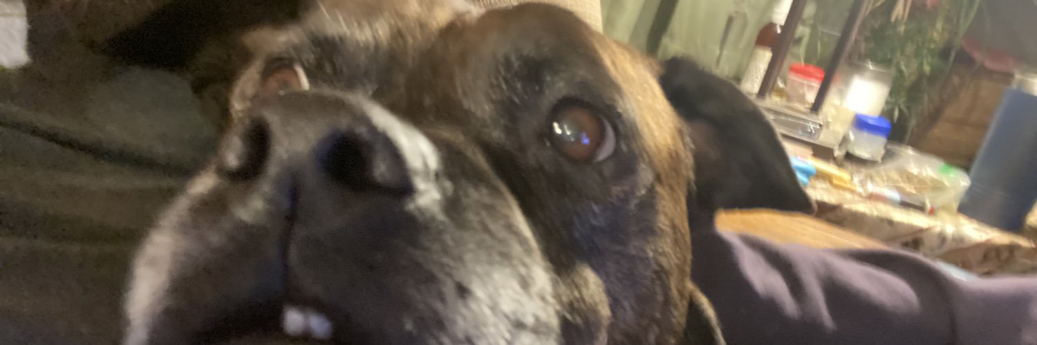 delaneyholz's profile banner image
