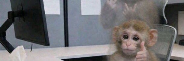 xoxota metafísica banner