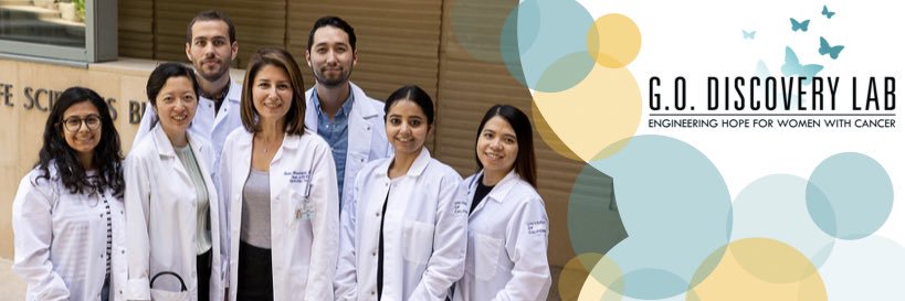 G.O. Discovery Lab's banner