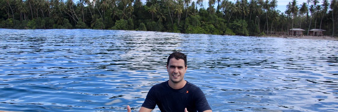 gustavodelduque's profile banner image