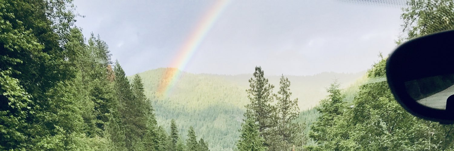caileyostrowski's profile banner image