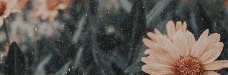 amyhickey__'s profile banner image