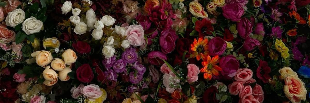 Bri_Rech's profile banner image
