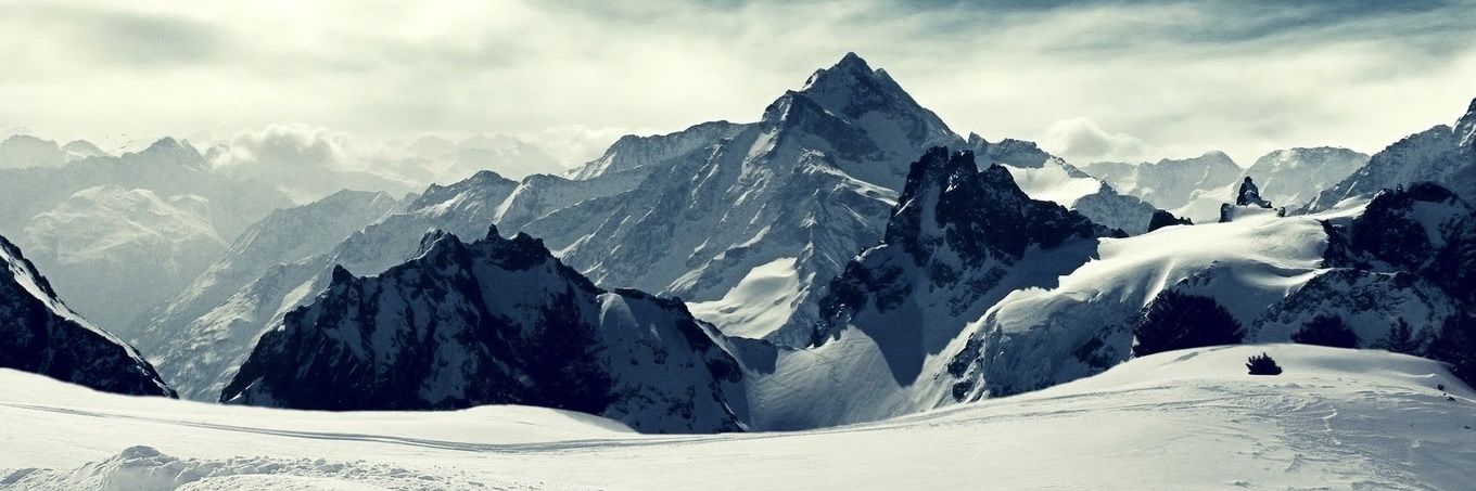 StephanieSuhr's profile banner image