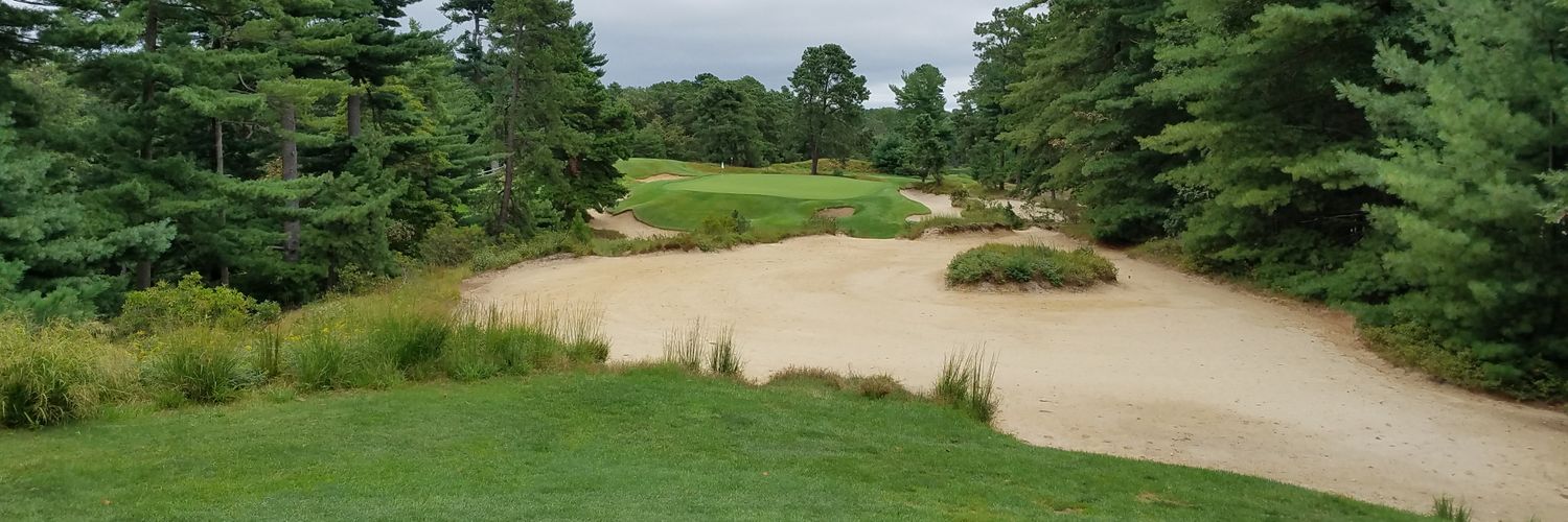 Mike O'Keeffe banner