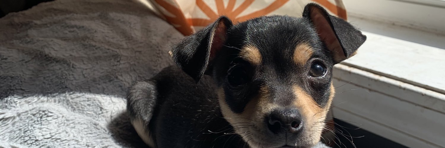 Jayden Jameson banner