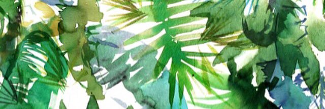 NiaWalker3's profile banner image