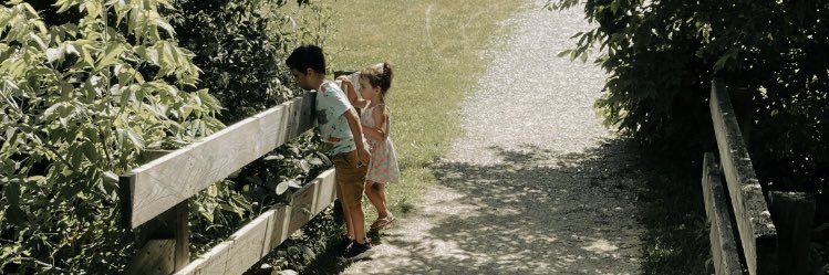 Stephanie Lucia 🌿 banner