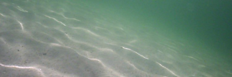 makeupmermaidco's profile banner image
