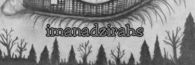 imanadzirahs's profile banner image
