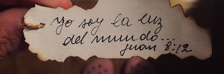 micaelamerlook's profile banner image