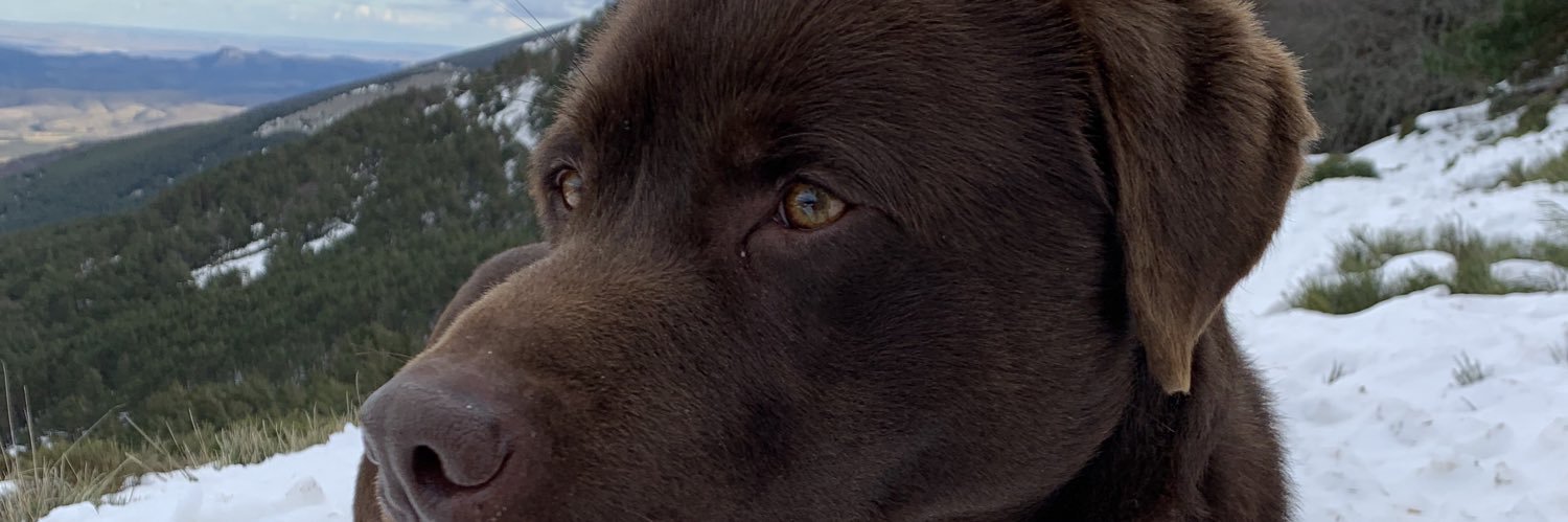 aledskj's profile banner image