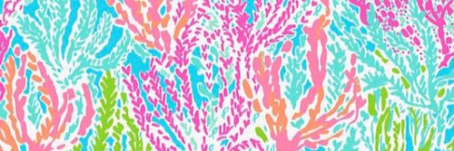 AshleyRoggero's profile banner image