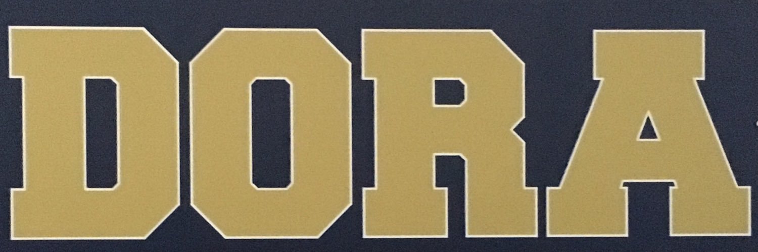 DHS Football Booster banner