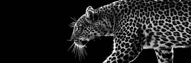 BBinAbdullah's profile banner image