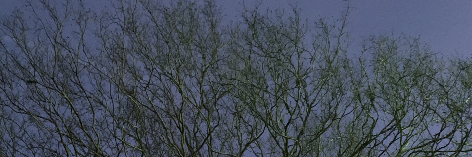 BryHo1's profile banner image